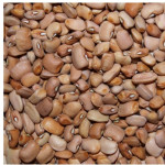 Honey Beans 1kg