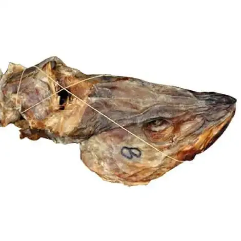 Stock Fish Head Medıum Size