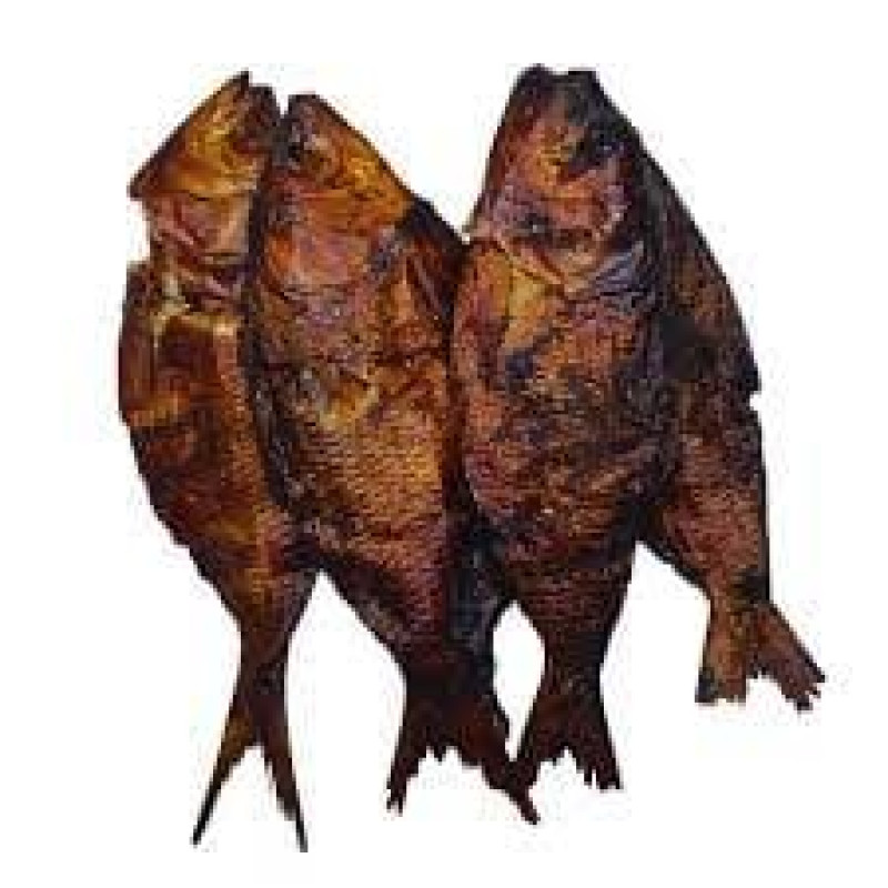 Bonga fish