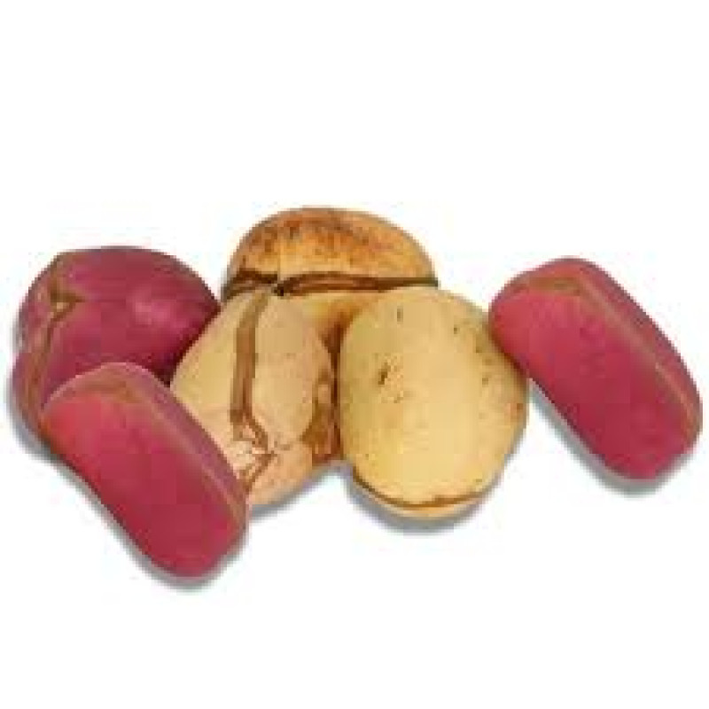 Kolanut 1 kg