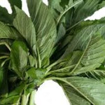 Greens, Efo Soko, African Spinach 100g