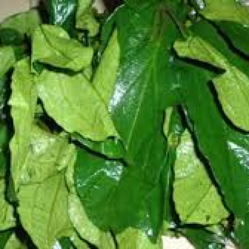 Fresh Ugu/Pumpkin Leaves 100g