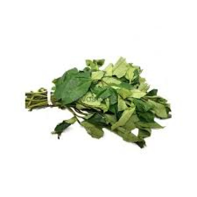 Fresh Ugu/Pumpkin Leaves 100g