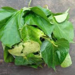 Fresh Utazi Leaves 100g