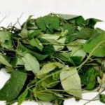 Fresh Utazi Leaves 100g