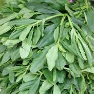 Fresh Water Leaves 100g