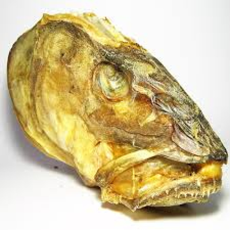 Stockfish head